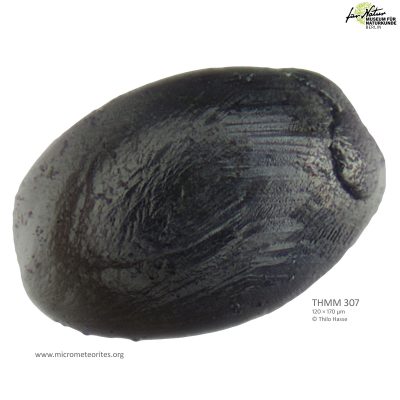 THMM307