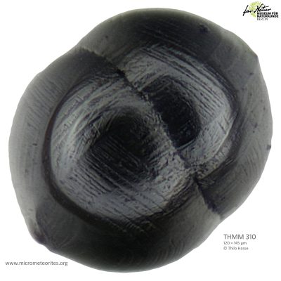 THMM310