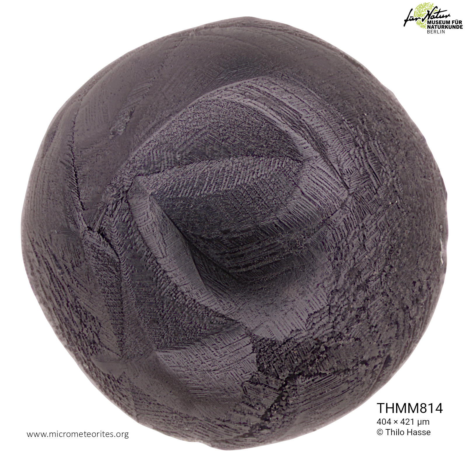 THMM814