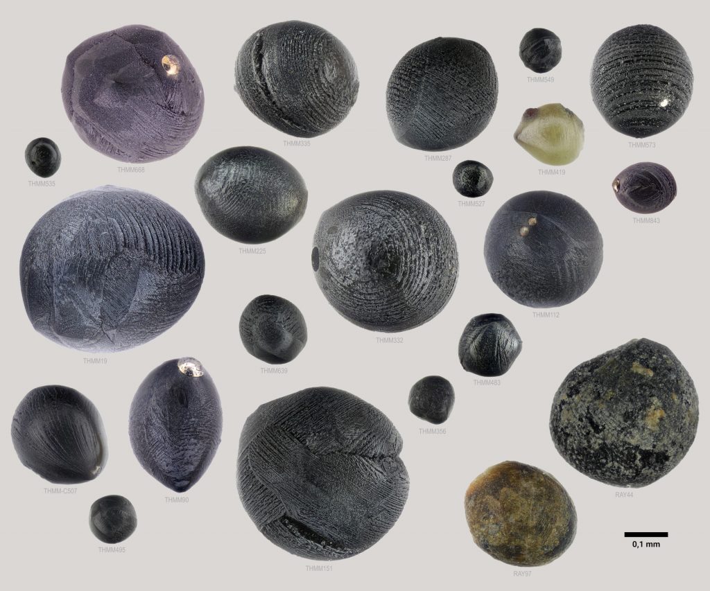 Verschiedene Mikrometeorite des Typs Barred Olivine