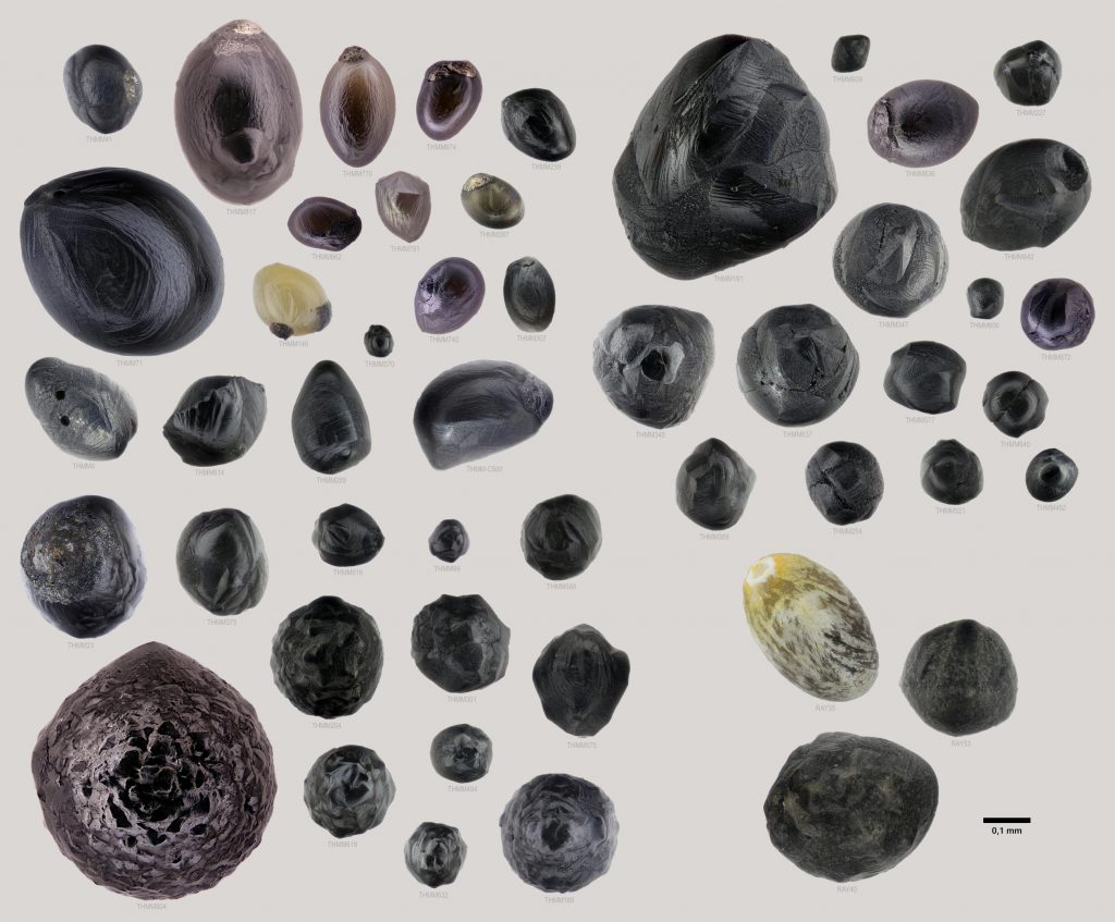 Verschiedene Mikrometeorite des Typs Cryptocrystalline