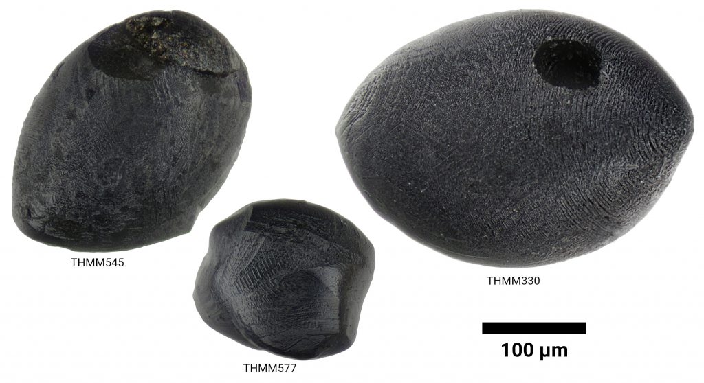 Mikrometeorite Typ CC-mc (2)