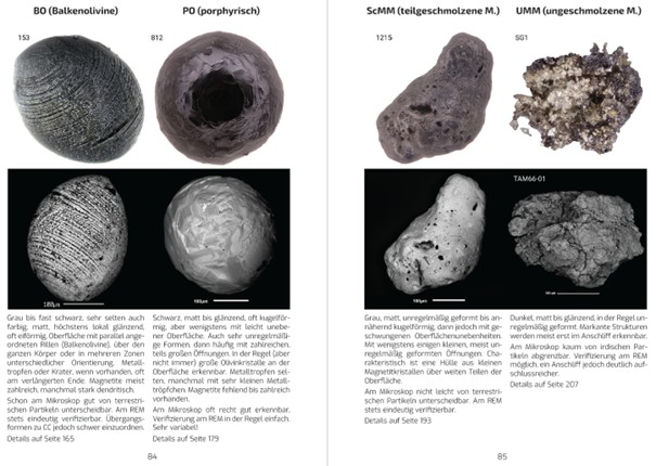 Blick ins Buch - Erkennen und unterscheiden 1