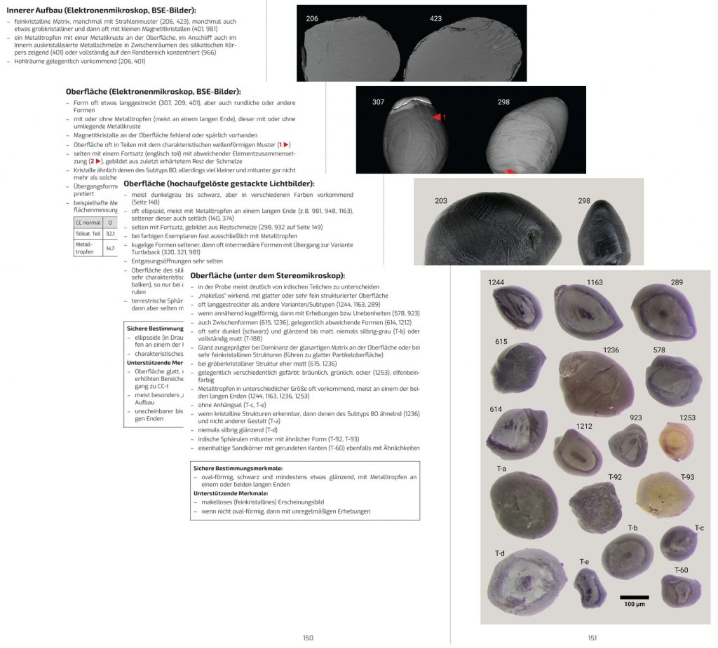 Blick ins Buch - Erkennen und Unterscheiden 3
