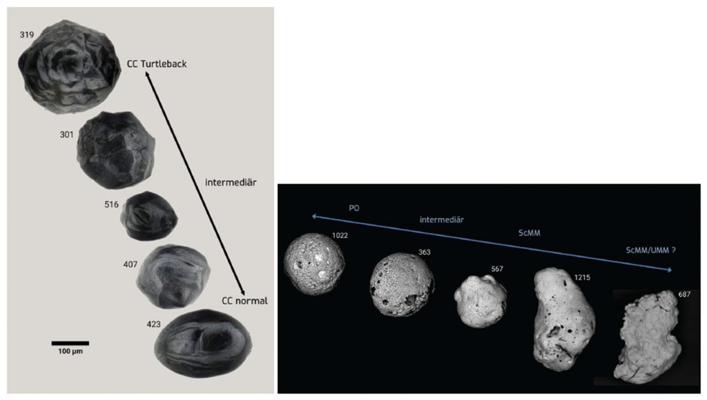 Blick ins Buch - Erkennen und Unterscheiden 4