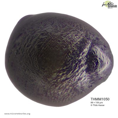 THMM1050