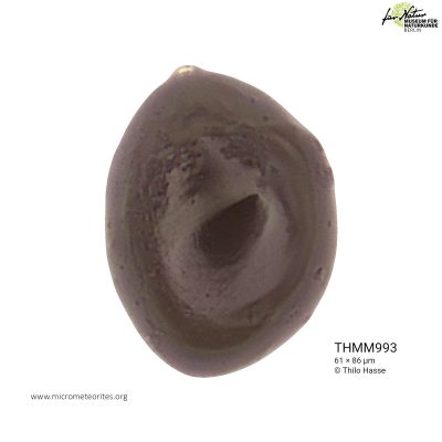 THMM993