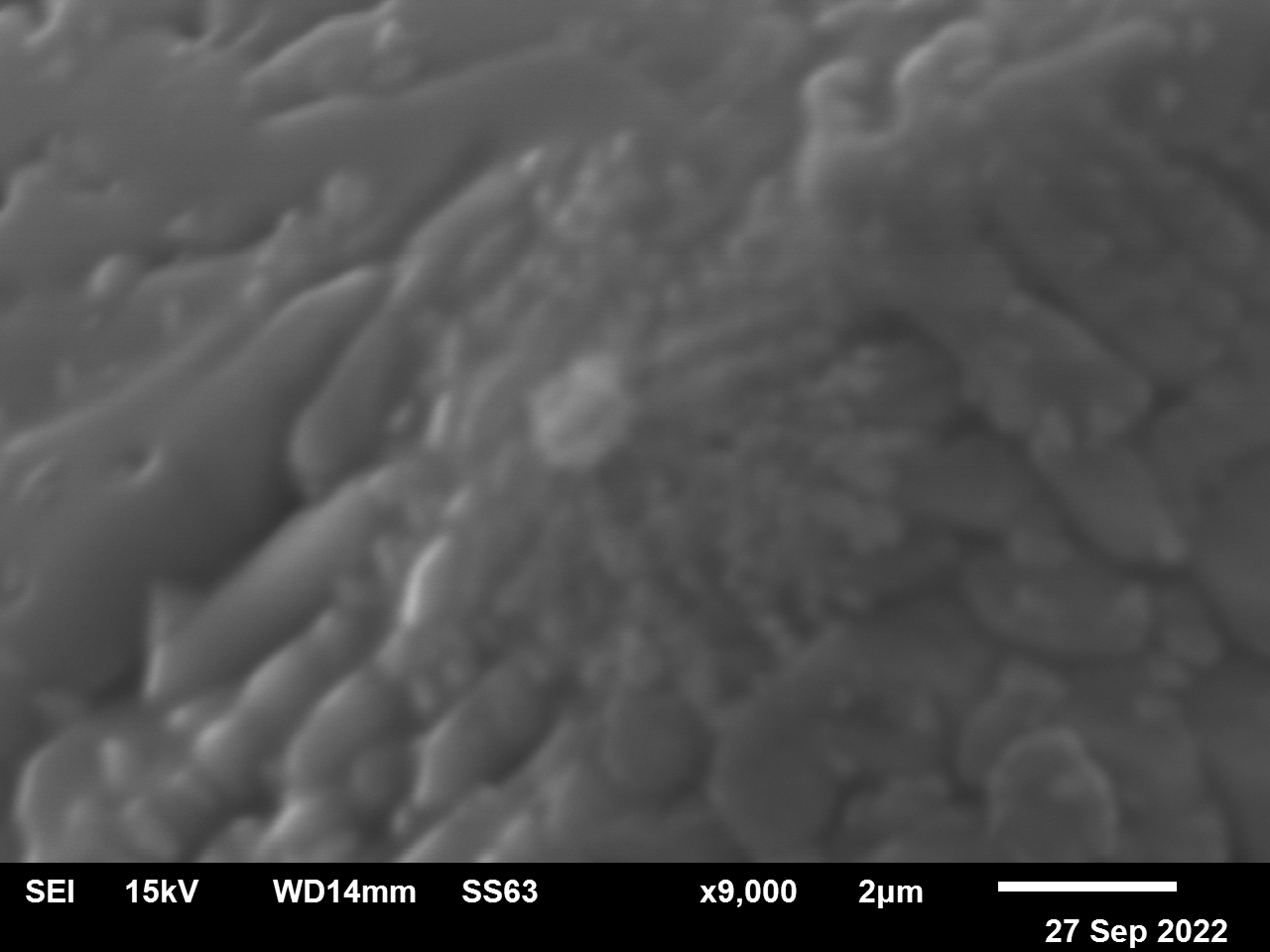 THMM1088 – Bild 6